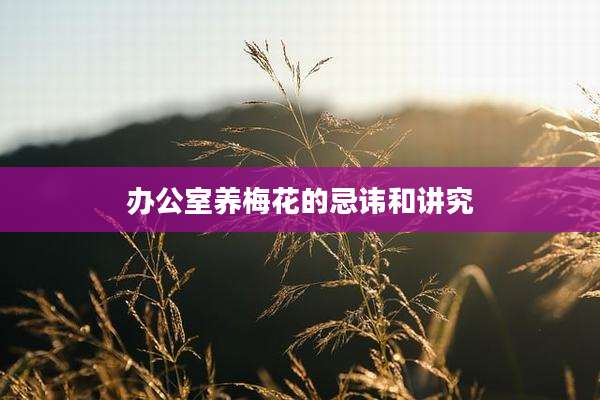办公室养梅花的忌讳和讲究