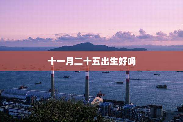十一月二十五出生好吗