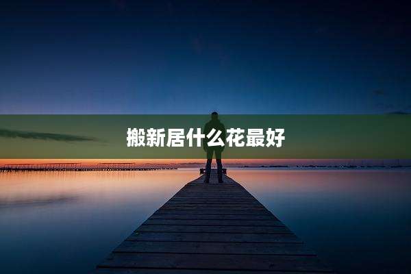 搬新居什么花最好