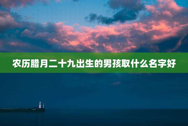 农历腊月二十九出生的男孩取什么名字好