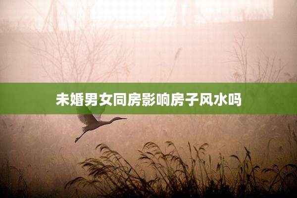 未婚男女同房影响房子风水吗