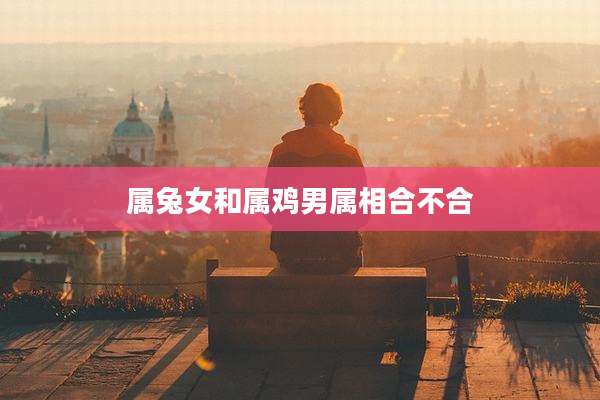属兔女和属鸡男属相合不合