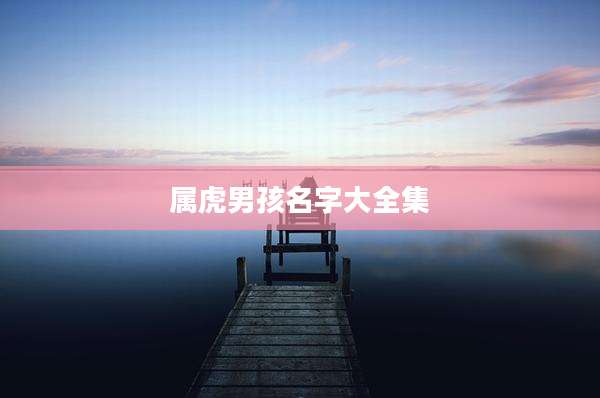 属虎男孩名字大全集