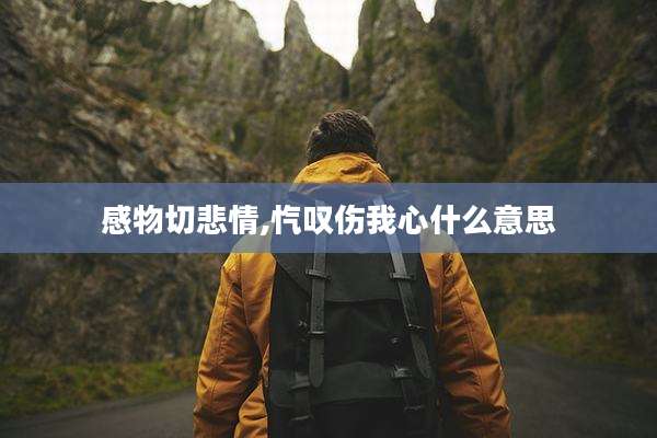 感物切悲情,忾叹伤我心什么意思