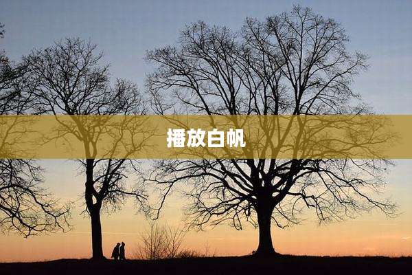 播放白帆