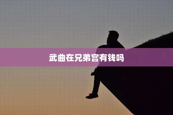 武曲在兄弟宫有钱吗