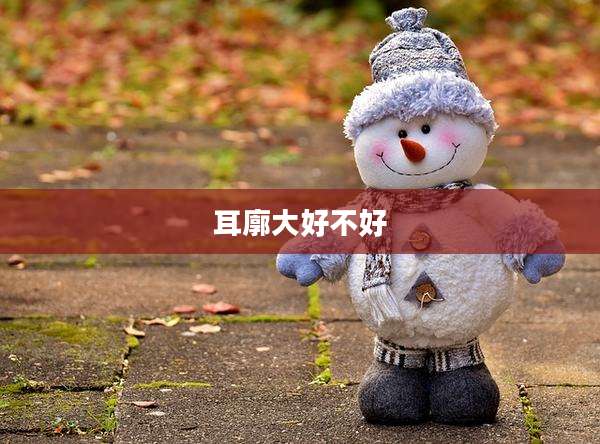 耳廓大好不好