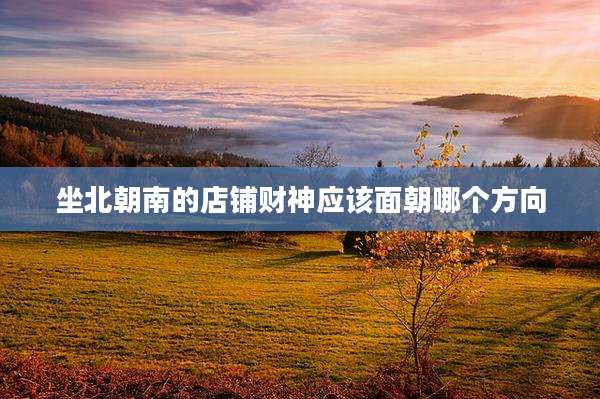 坐北朝南的店铺财神应该面朝哪个方向