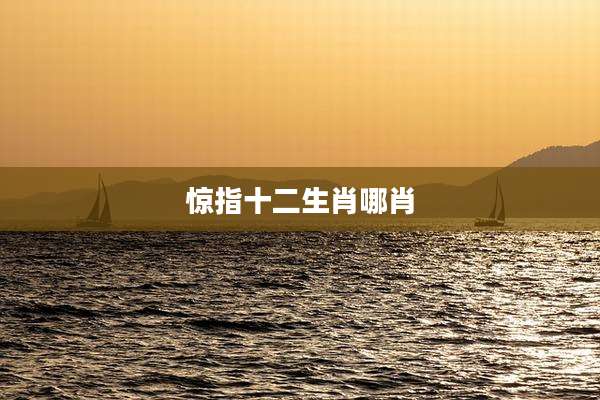 惊指十二生肖哪肖