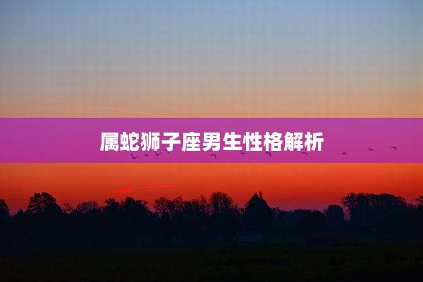 属蛇狮子座男生性格解析