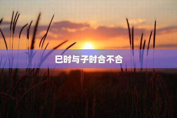 巳时与子时合不合
