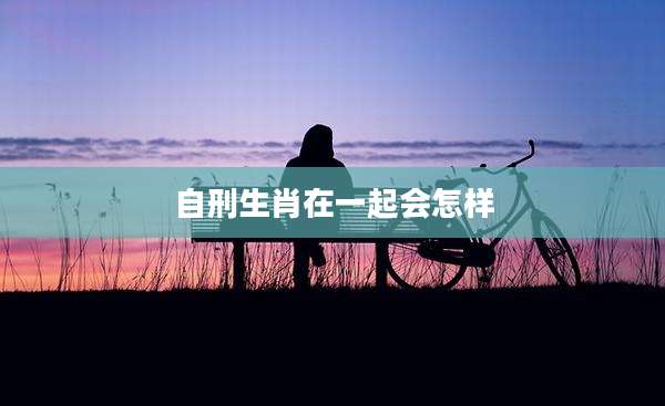 自刑生肖在一起会怎样