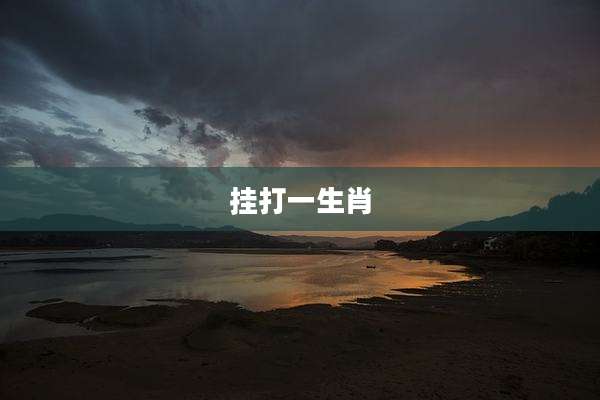 挂打一生肖