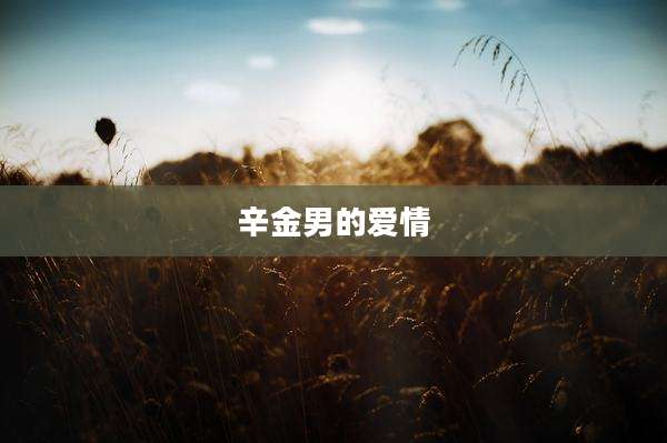辛金男的爱情