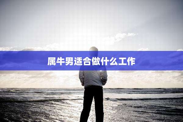 属牛男适合做什么工作
