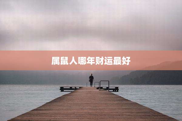 属鼠人哪年财运最好