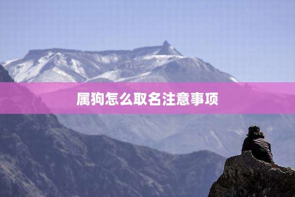 属狗怎么取名注意事项