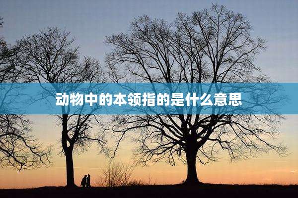 动物中的本领指的是什么意思