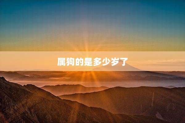 属狗的是多少岁了