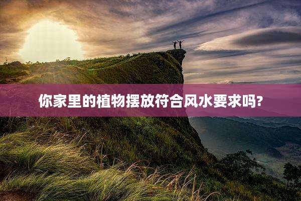 你家里的植物摆放符合风水要求吗?