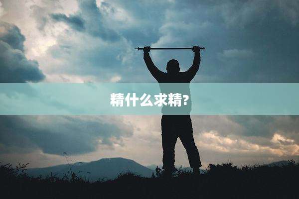 精什么求精?