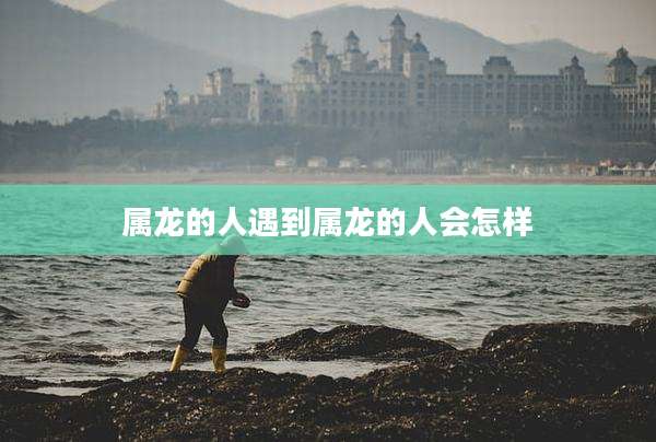属龙的人遇到属龙的人会怎样