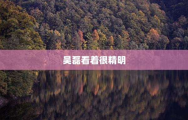 吴磊看着很精明