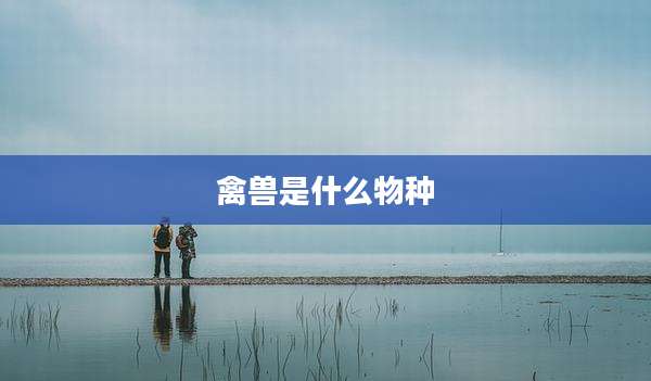 禽兽是什么物种