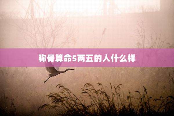 称骨算命5两五的人什么样