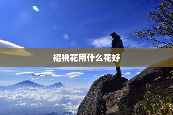 招桃花用什么花好