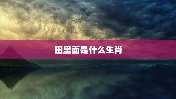 田里面是什么生肖