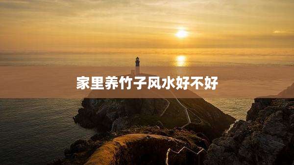 家里养竹子风水好不好