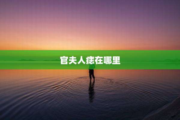 官夫人痣在哪里