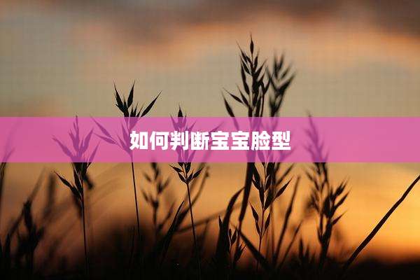如何判断宝宝脸型