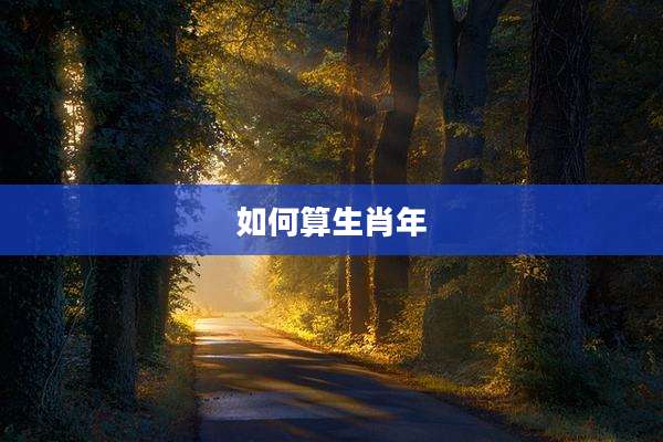 如何算生肖年