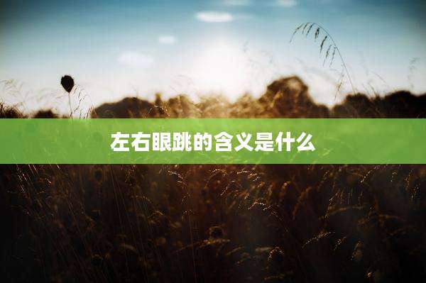 左右眼跳的含义是什么