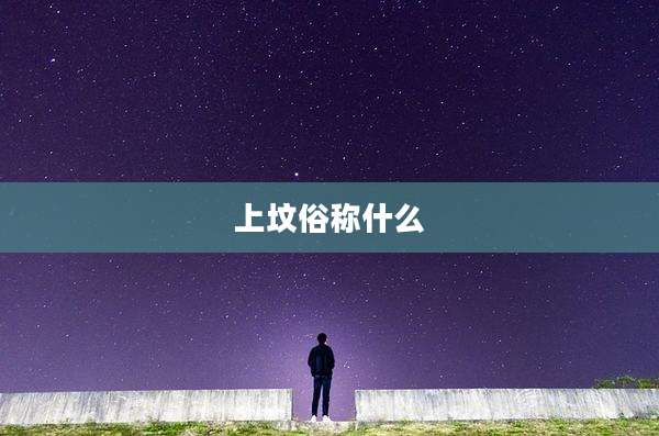 上坟俗称什么