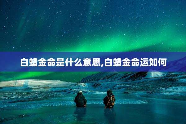 白蜡金命是什么意思,白蜡金命运如何