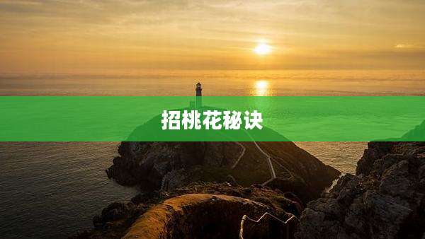 招桃花秘诀
