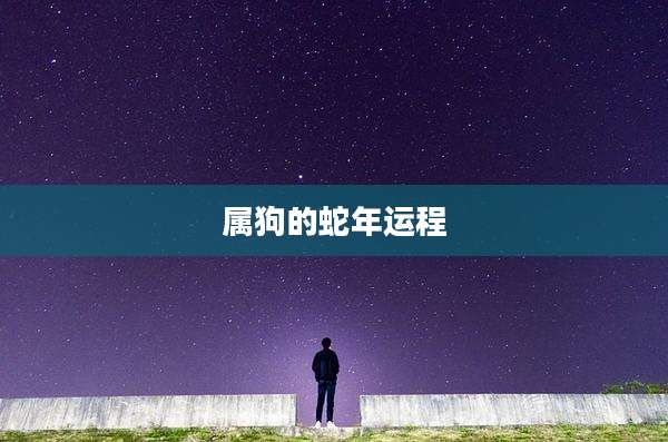 属狗的蛇年运程