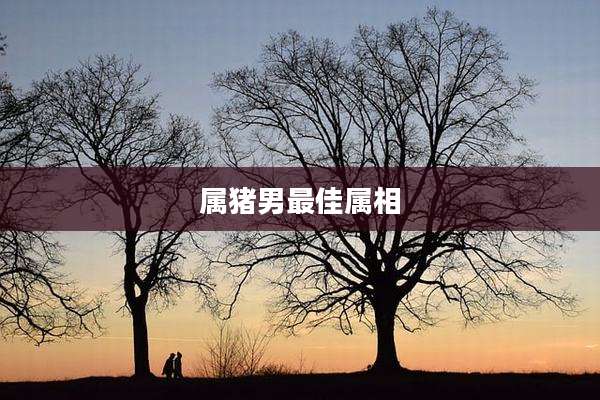 属猪男最佳属相