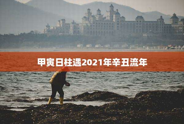 甲寅日柱遇2021年辛丑流年