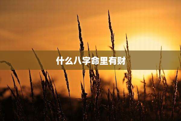 什么八字命里有财