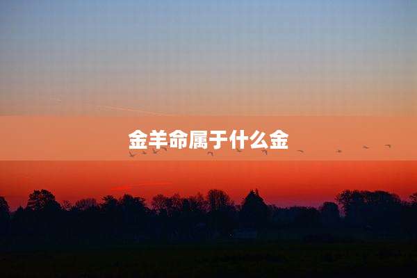金羊命属于什么金