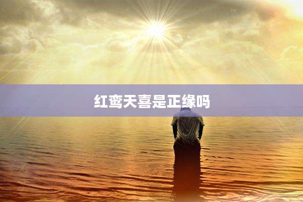 红鸾天喜是正缘吗