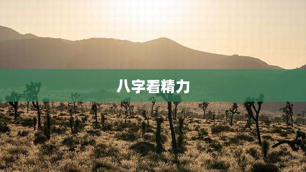 八字看精力