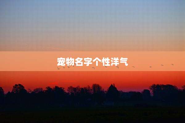 宠物名字个性洋气