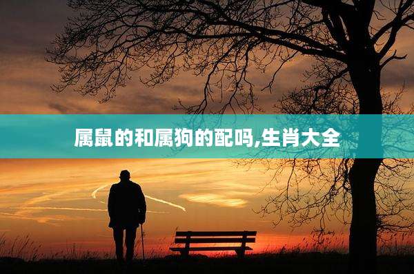 属鼠的和属狗的配吗,生肖大全