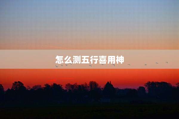 怎么测五行喜用神