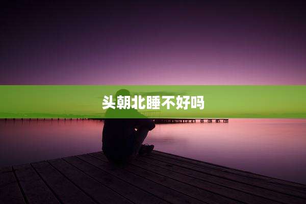 头朝北睡不好吗